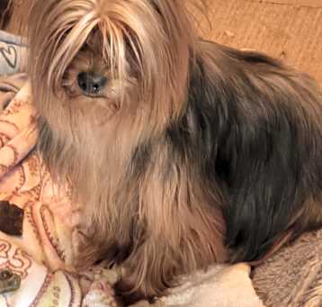 Photo of Maggie