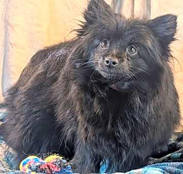 Photo of Suzi