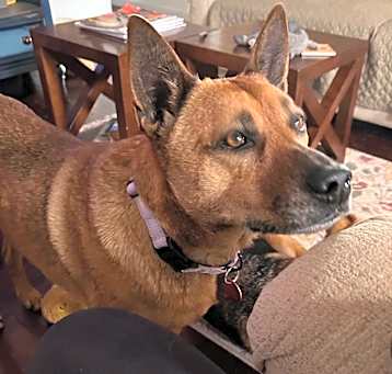 Photo of Sydney