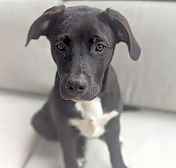 Photo of Kodak