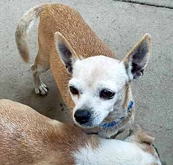 Photo of SAMSON