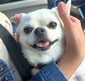 Photo of Baby Doom