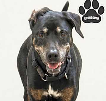 Photo of Annie