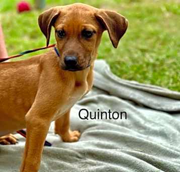 Photo of Quinton