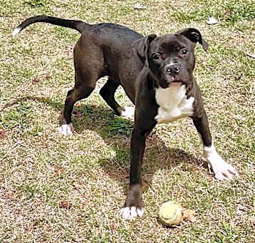 Photo of Henryetta