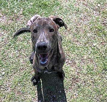 Photo of SNICKERS