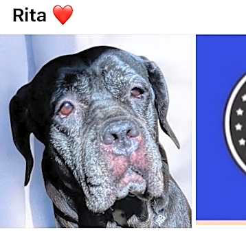 Photo of RITA