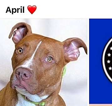 Photo of APRIL