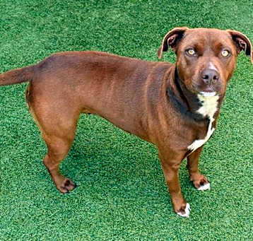 Photo of ZIGGY