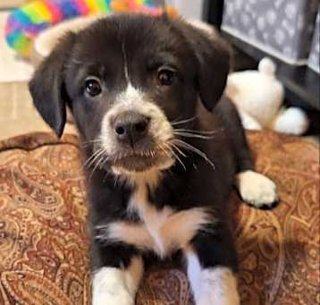 Photo of Tex