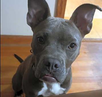 Photo of Sami