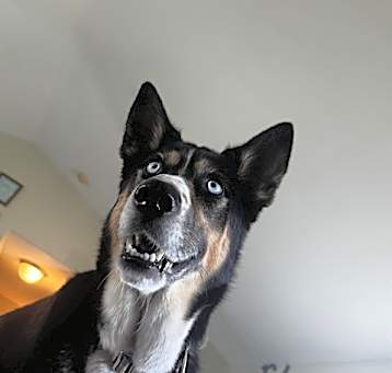 Photo of REMI