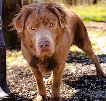 Photo of Skitter