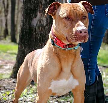 Photo of Duke