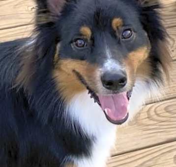 Photo of Atlas