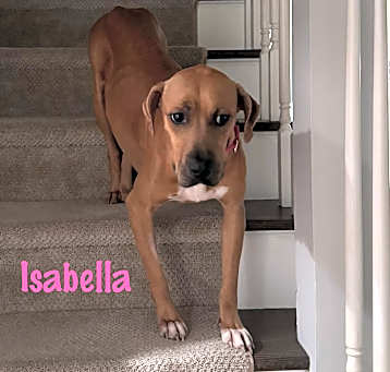 Photo of Isabella
