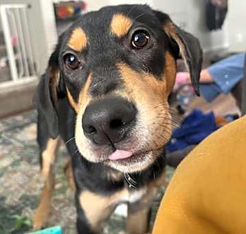 Photo of Murphy