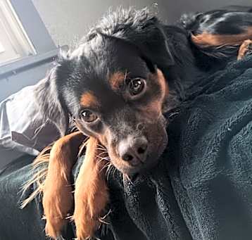 Photo of Grimm