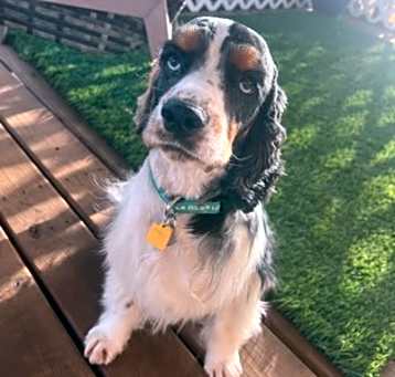 Photo of Lucky Boy