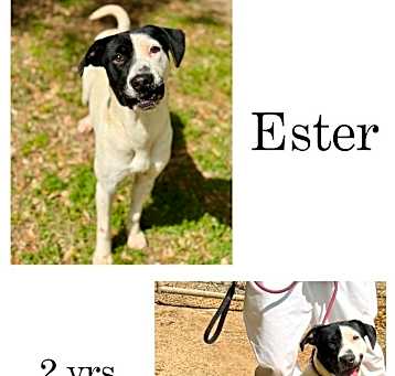 Photo of Ester