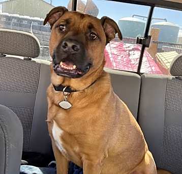 Photo of Duke