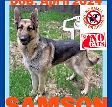 Photo of SAMSON