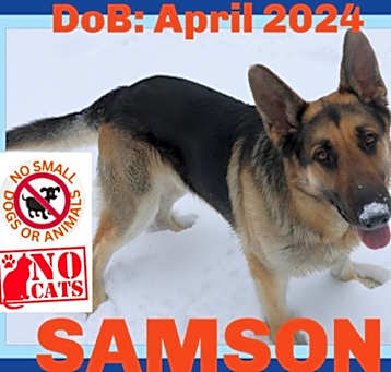 Photo of SAMSON