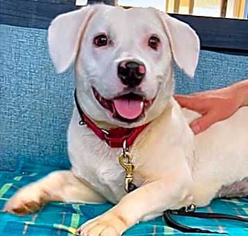 Photo of Frankie