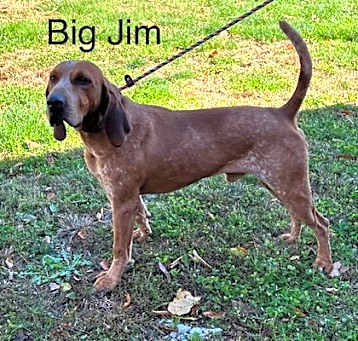 Photo of Big Jim