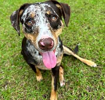 Photo of Splash
