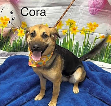 Photo of Cora