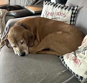 Photo of Sammie