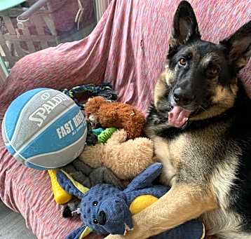 Photo of Rebel
