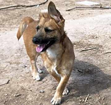Photo of **TWIX