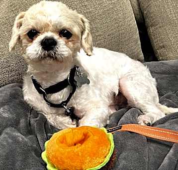 Photo of Nimbus