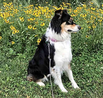 Photo of Fiona