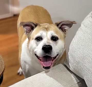 Photo of Akira
