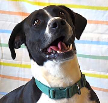 Photo of Bingo