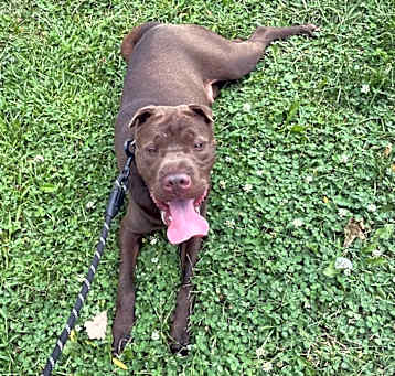 Photo of Max