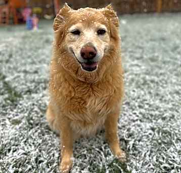 Photo of Ellie