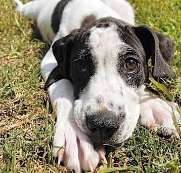 Photo of Sprout