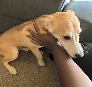Photo of Kezo