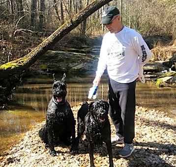 Photo of BAILEY (SRC#1890) in NC ADOPTED