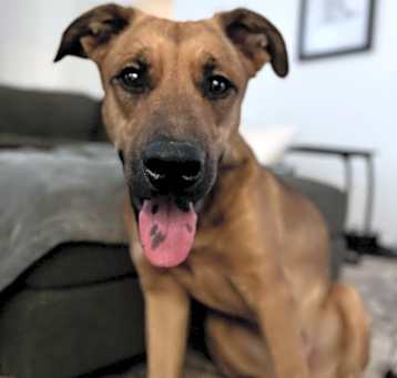 Photo of Tank