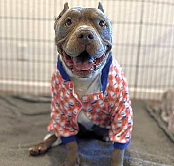 Photo of Big Boy
