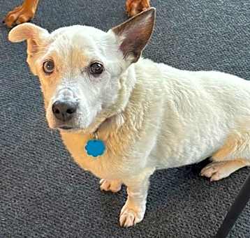 Photo of Zoe