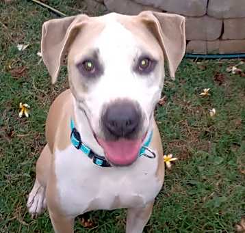 Photo of Cooper