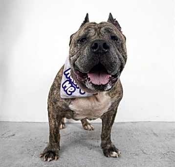Photo of ARNOLD