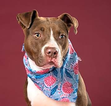 Photo of Ramona