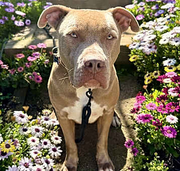 Photo of El Roy
